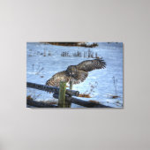 De Grote Grijze Owl en Omheining in sneeuw II Canvas Afdruk (Voorkant)