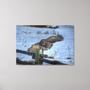 De Grote Grijze Owl en Omheining in sneeuw II Canvas Afdruk