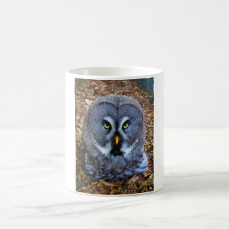 De Grote Grijze Owl Strix Nebulosa Lapland Owl Koffiemok