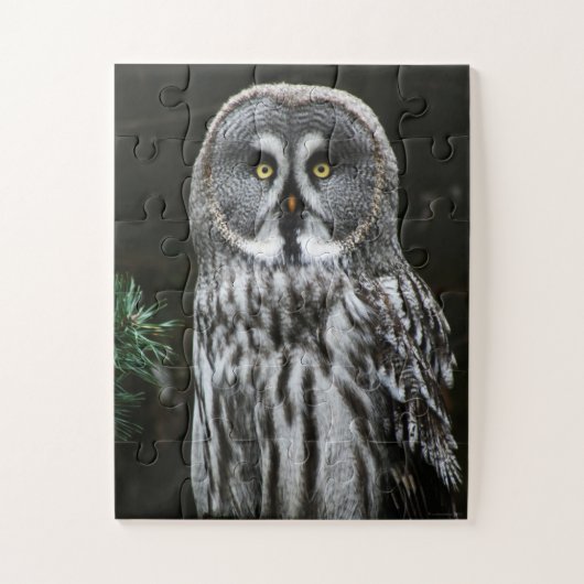 De Grote Grijze Uil 11x14 30pc jpcnm Legpuzzel (Verticaal)