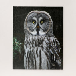De Grote Grijze Uil 16x20 520pc jpcna Legpuzzel