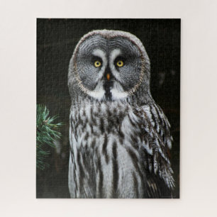 De Grote Grijze Uil 16x20 520pc jpcna Legpuzzel