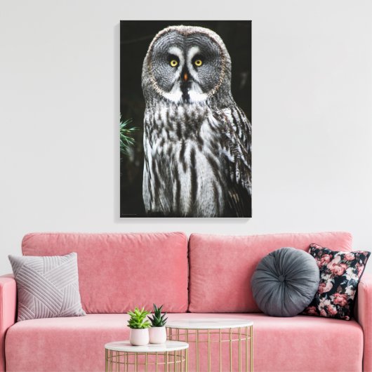 De Grote Grijze Uil 16x24 (40x60cm) waccna Canvas Afdruk (Insitu (Woonkamer))
