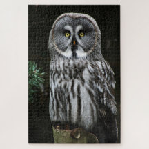 De Grote Grijze Uil 20x30 1014pc jpcna