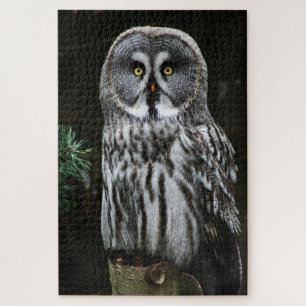 De Grote Grijze Uil 20x30 1014pc jpcna Legpuzzel