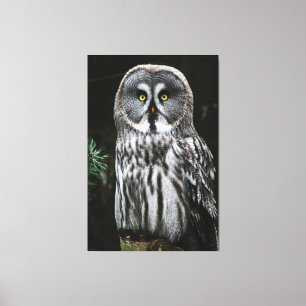 De Grote Grijze Uil 40x60 (100x150cm) waccna Canvas Afdruk