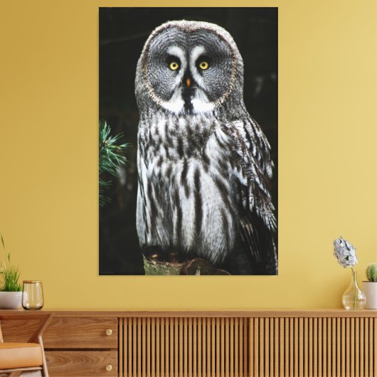 De Grote Grijze Uil 40x60 (100x150cm) waccnm Canvas Afdruk (Insitu (Woonkamer))