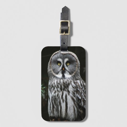 De grote grijze uil BC LTCNA Bagagelabel (Voorkant (verticaal))