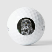 De Grote Grijze Uil CSS GBCNA Golfballen (Voorkant)