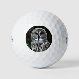 De Grote Grijze Uil cwb gbcnm Golfballen