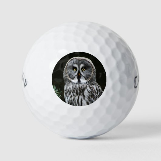 De Grote Grijze Uil cwb gbcnm Golfballen (Voorkant)