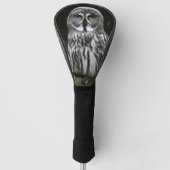 De grote grijze uil dccnm golfheadcover (Voorkant)