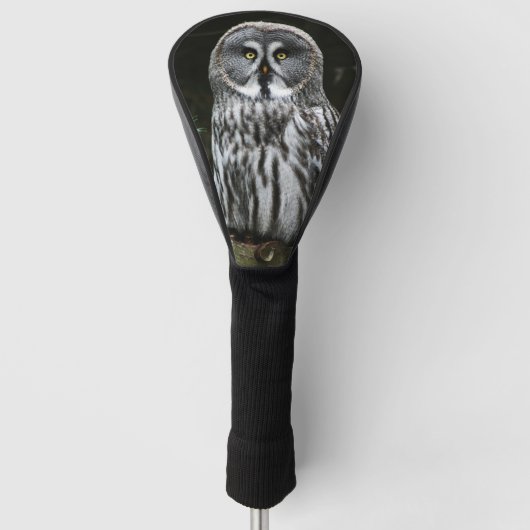 De grote grijze uil dccnm golfheadcover (Voorkant)