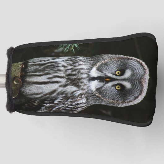 De Grote Grijze Uil PCNM Golfheadcover (Voorkant)