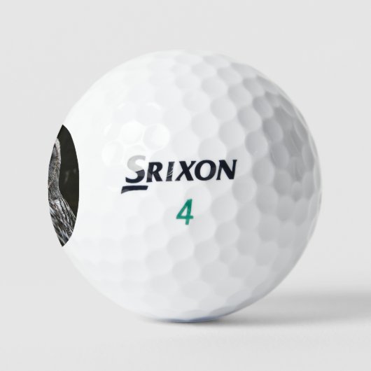 De Grote Grijze Uil ssf gbcnm Golfballen (Logo)