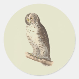 De Grote Grijze Uil (Strix nebulosa) NY Vogel Afbe Ronde Sticker