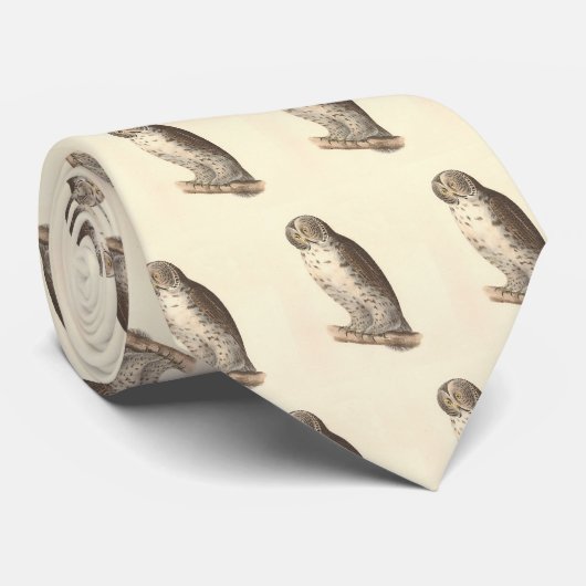 De Grote Grijze Uil (Strix nebulosa) NY Vogel Afbe Stropdas (Opgerold)