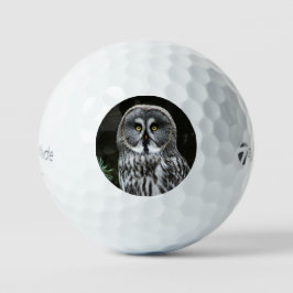 De Grote Grijze Uil tmtp5 gbcnm Golfballen