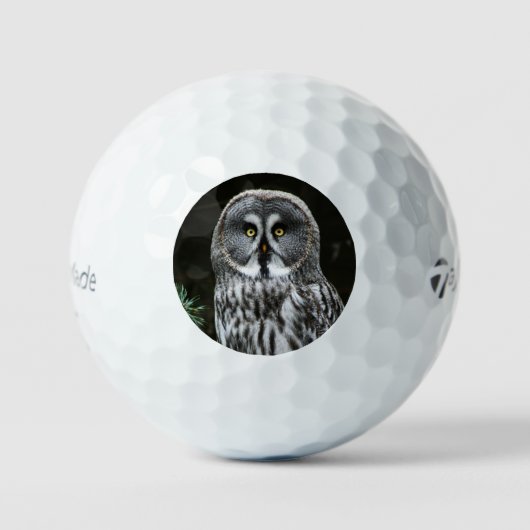De Grote Grijze Uil tmtp5 gbcnm Golfballen (Voorkant)