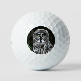 De Grote Grijze Uil tpv1 gbcnm Golfballen