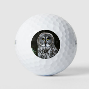 De grote grijze uil wu gbcna golfballen