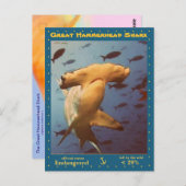 De Grote Hammerhead Shark is bedreigd, a - Briefkaart (Voorkant / Achterkant)