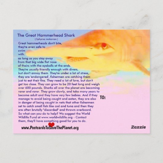 De Grote Hammerhead Shark is bedreigd, a - Briefkaart (Achterkant)