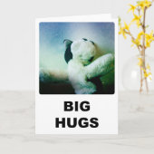 De grote Kaart van Omhelzingen (Gele Bloem)