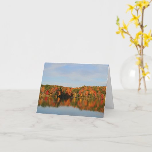 De grote Kaarten van de Nota van Bradford (Gele Bloem)