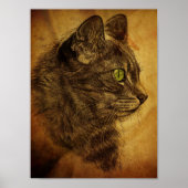 De grote kat poster (Voorkant)