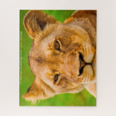De Grote Katachtigen Leeuwen. Legpuzzel (Verticaal)