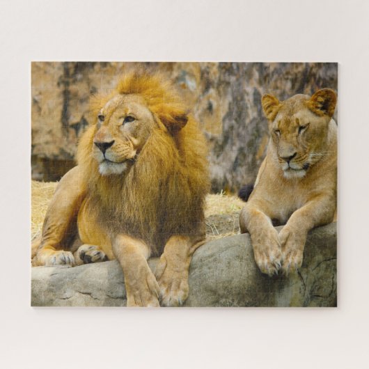 De Grote Katachtigen Leeuwen. Legpuzzel (Horizontaal)
