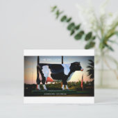 DE GROTE KEUW - ASHBURN , GEORGIË BRIEFKAART (Staand voorkant)