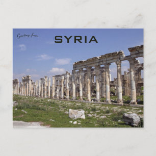 De grote kolonie in Apamea Syrië Briefkaart