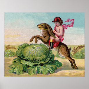 De Grote Koolveld Steeplechase Poster