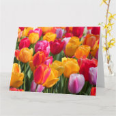 De grote Lente van de Kaart bij Gedaalde Gardens1 (Gele Bloem)