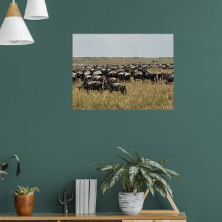 De Grote Migratie – Afrikaanse Wildebeest Foto Pri Poster