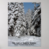 De Grote Noord-Bossen, waar de winter komt Poster (Voorkant)