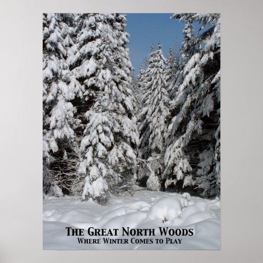De Grote Noord-Bossen, waar de winter komt Poster (Voorkant)
