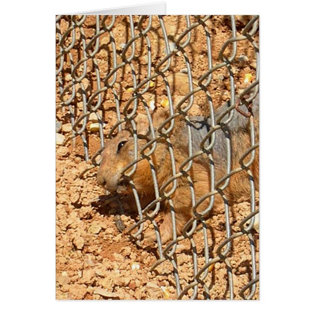 de grote ontsnapping (Voorkant)