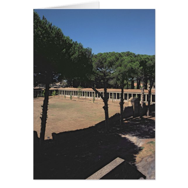 De Grote Palaestra (Voorkant)