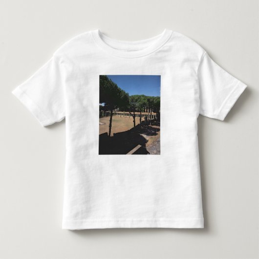 De Grote Palaestra Kinder Shirts (Voorkant)