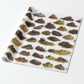 De Grote Poep Collectie Cadeaupapier (Uitgerold)