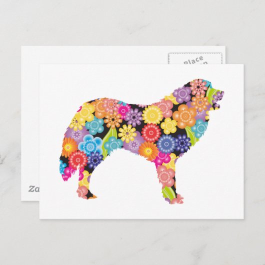 De grote Pyreneeën Briefkaart (Voorkant / Achterkant)