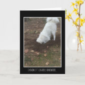 De grote Pyreneeën Kaart (Gele Bloem)