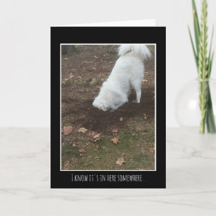 De grote Pyreneeën Kaart