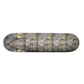DE GROTE RAAD SKATEBOARD