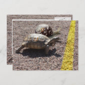 De Grote Race Briefkaart (Voorkant / Achterkant)