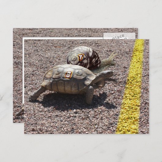 De Grote Race Briefkaart (Voorkant / Achterkant)