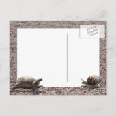 De Grote Race Briefkaart (Achterkant)